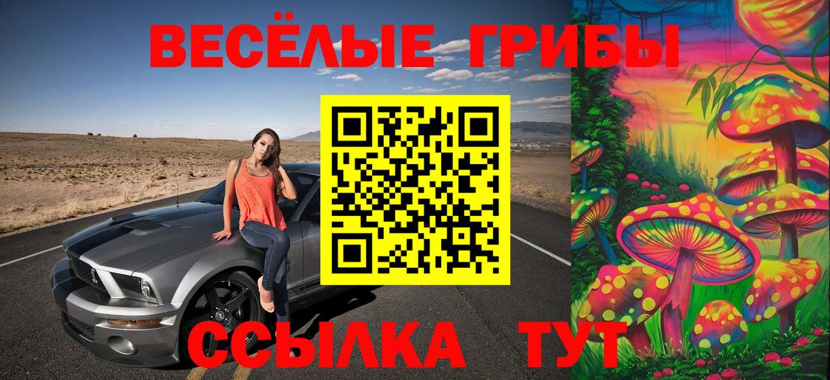 Псилоцибиновые грибы Cubensis Кирово-Чепецк